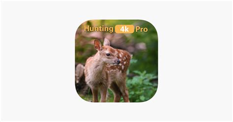 4k hunt|‎Hunting 4K on the App Store